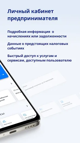 Личный кабинет предпринимателя — скриншот 2