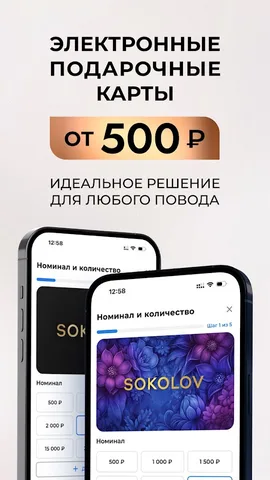 SOKOLOV — скриншот 5