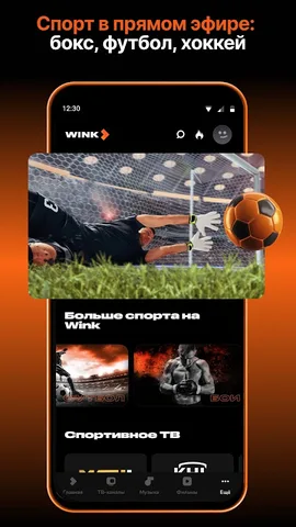 Wink — скриншот 4